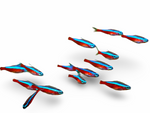 Cardinal Tetra XL