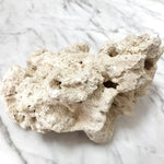 Ancient Coral Rock by the pound