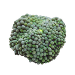 Green Ricordea